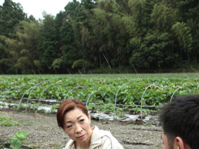 田舎妻ナンパ　大増量３２人　８時間　サンプル画像03